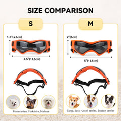 PETLESO orange dog sunglasses highlight small breeds for clear visibility in sun.