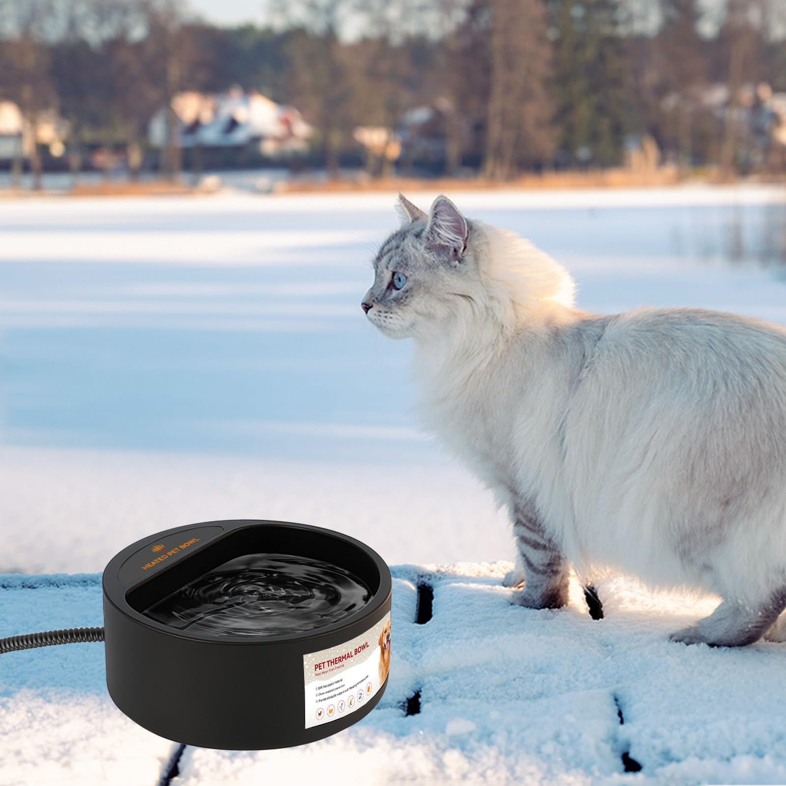 PETLESO outdoor pets water hydration in winter yard