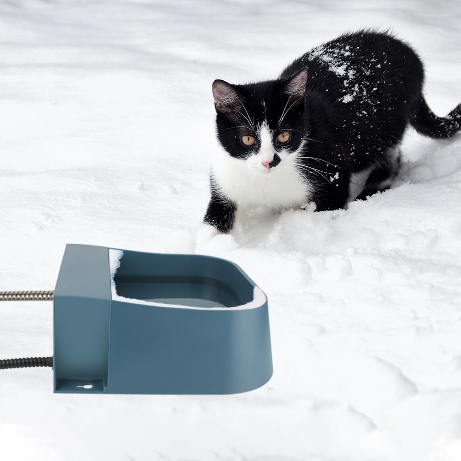 PETLESO Outdoor use in garden shows a reliable pet water source.