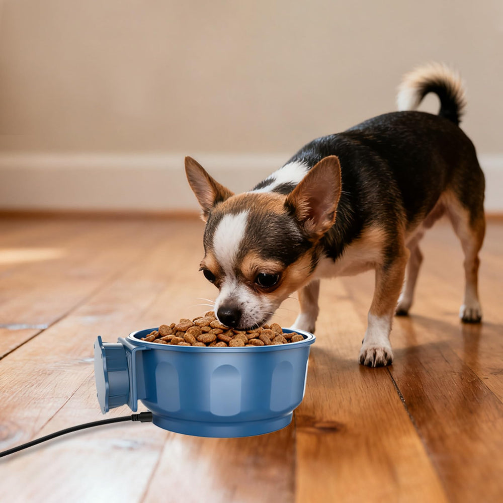 PETLESO USB-powered bowl uses 5V/2A for flexible placement.