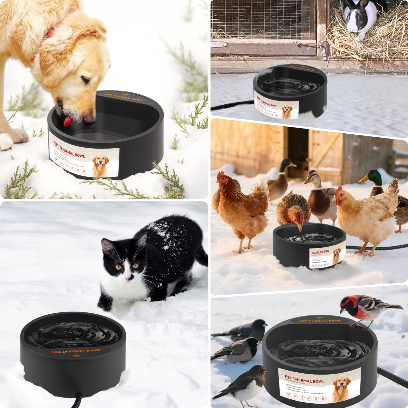 PETLESO 2.2L bowl outdoors supporting reliable hydration