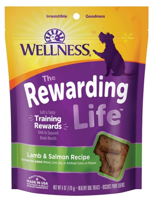 Petlewa Wellness-Wellbites beef & turkey treats close-up, premium texture for chewy bites.