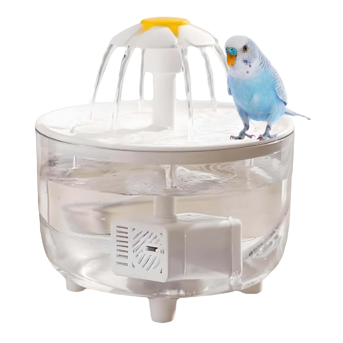 Petlex Bird Bath indoor shower fountain shows continuous water flow for easy bathing.