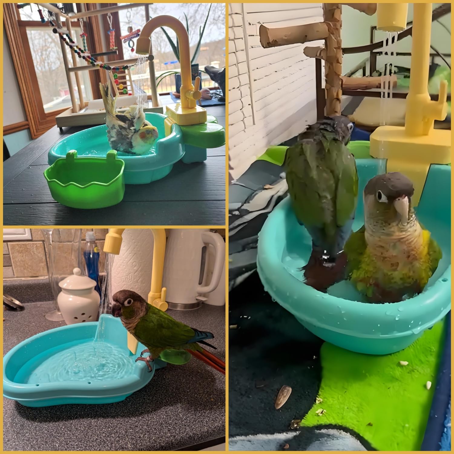 Petlex bird-bath indoor-use compact design for simple cleaning
