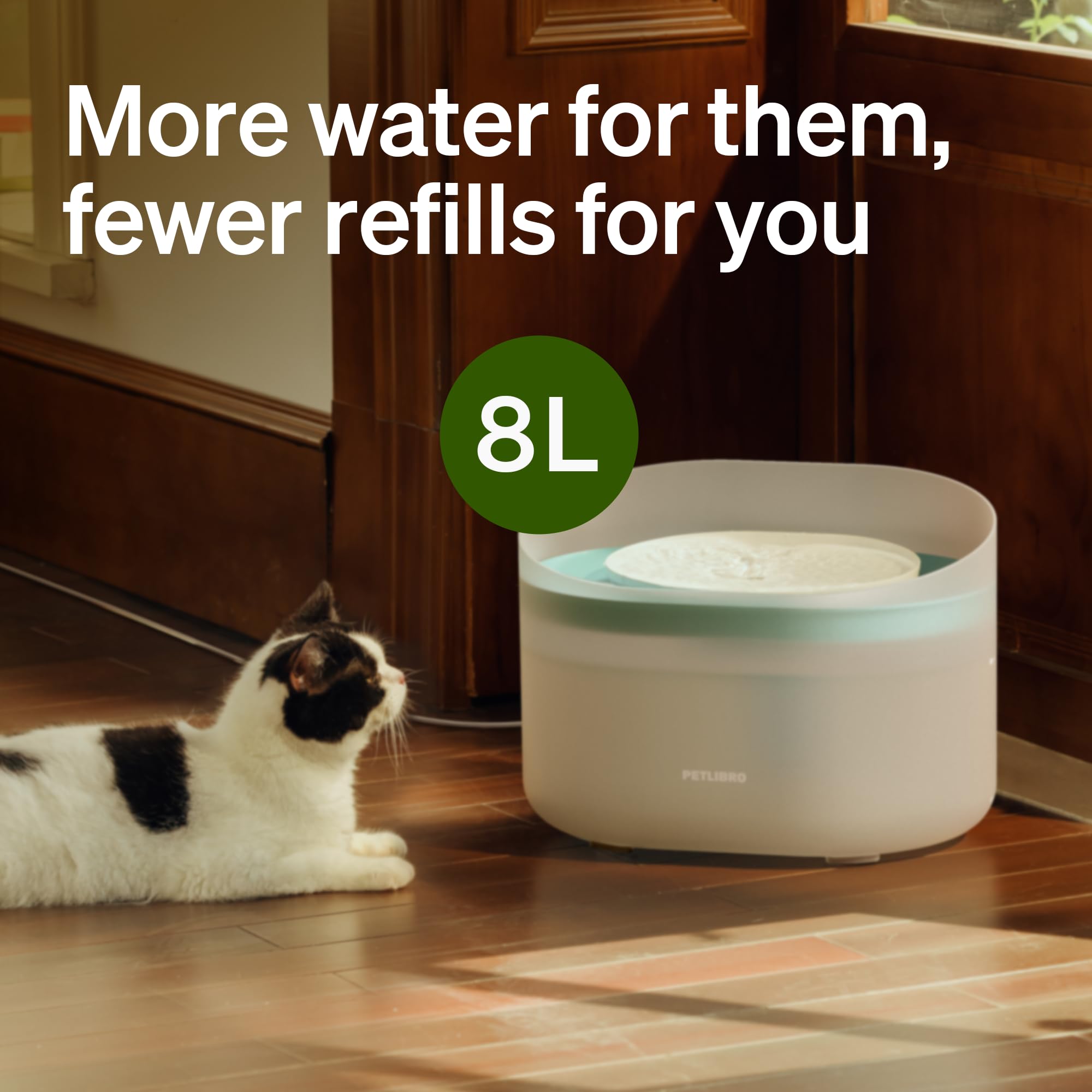 PETLIBRO anti-splash shield reduces spills during excited drinking.