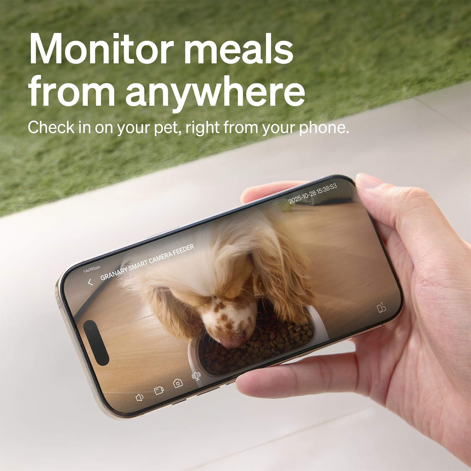 PETLIBRO two-way audio setup for live interaction during meals