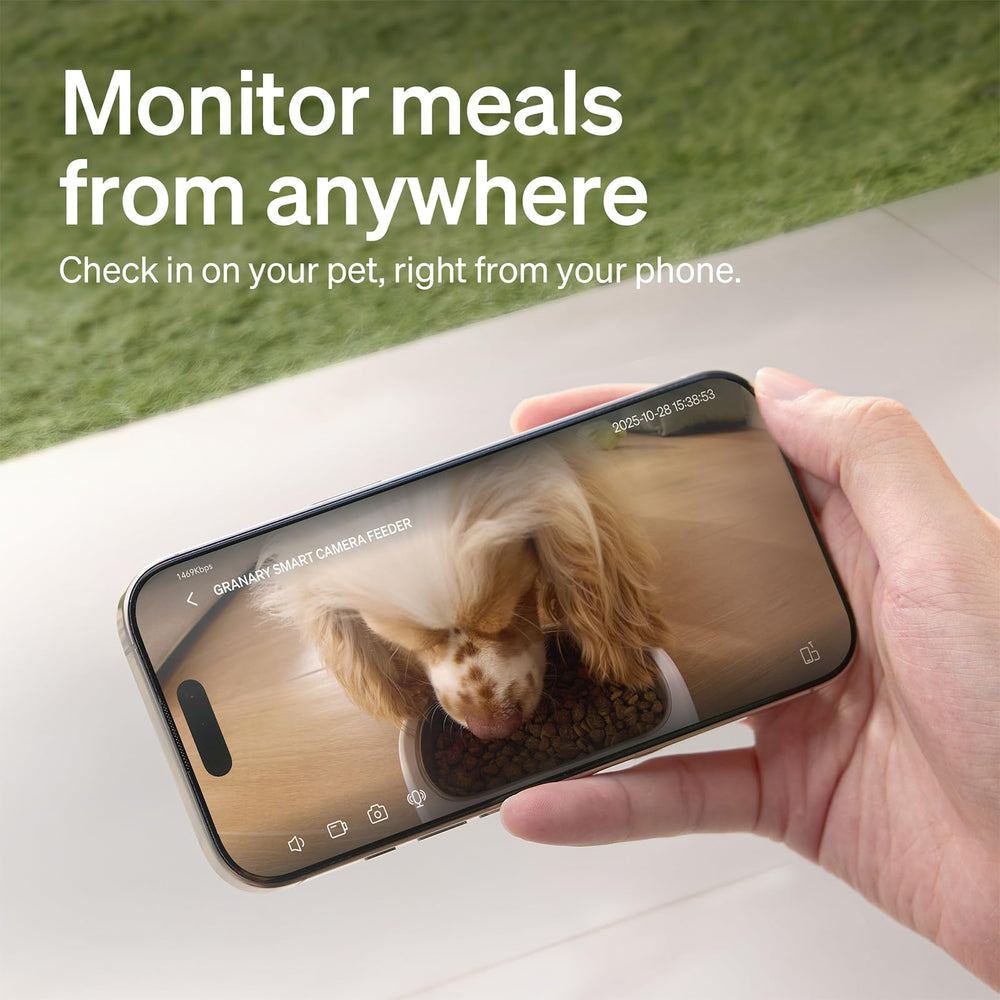 PETLIBRO two-way audio setup for live interaction during meals