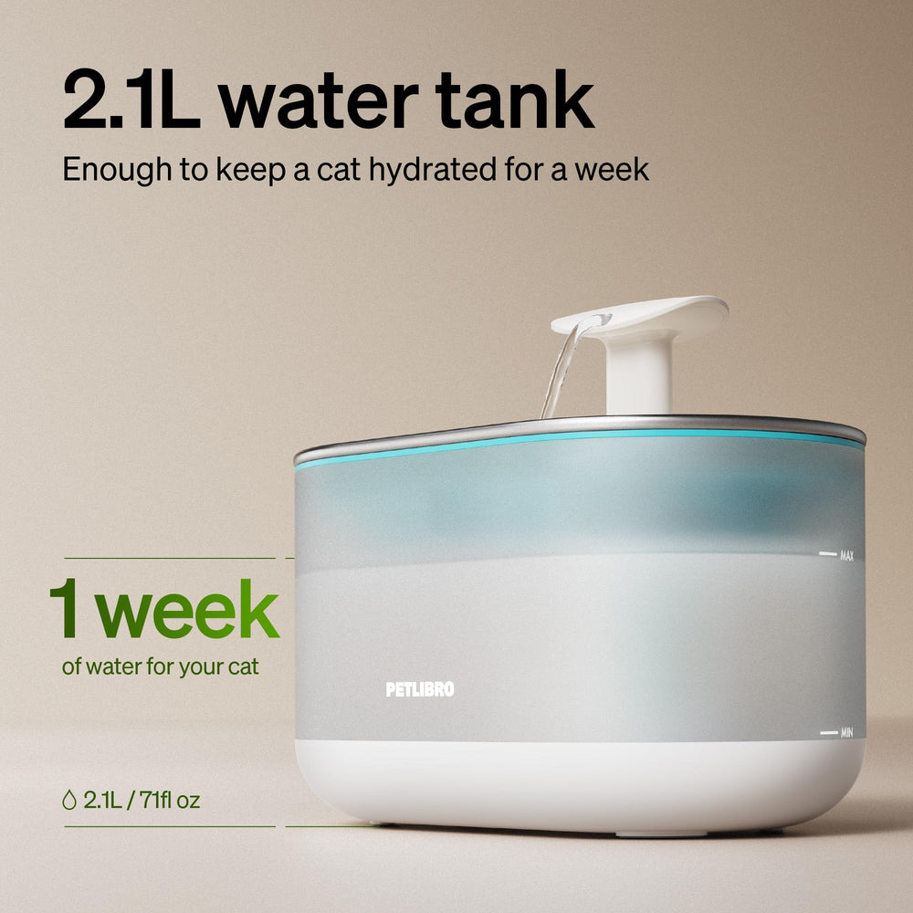 PETLIBRO Cat Water Fountain ultra-quiet operation scene conveys peaceful home environment.