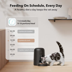 PETLIBRO Top lid press-to-lock demonstrates secure food storage during busy days.