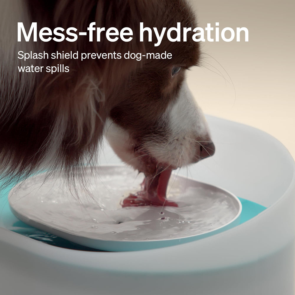 PETLIBRO whirlpool flow design keeps water moving and inviting.