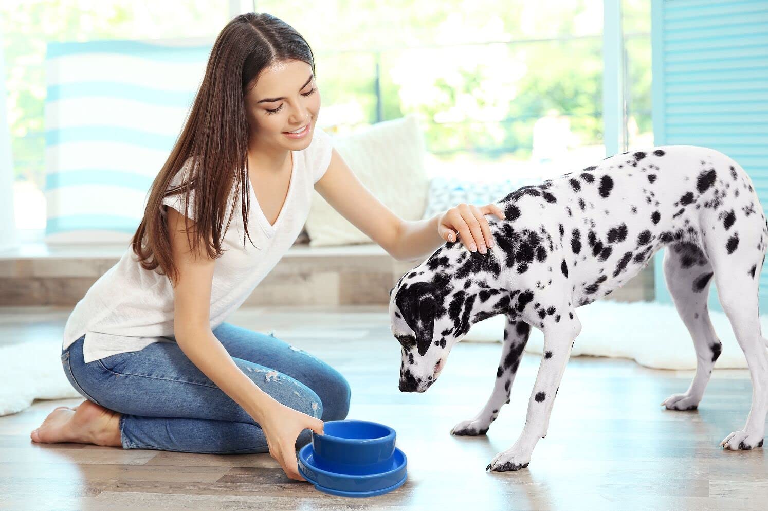 PetLike Ants Away: juego de dos cuencos para comida y agua, ideal para mascotas.