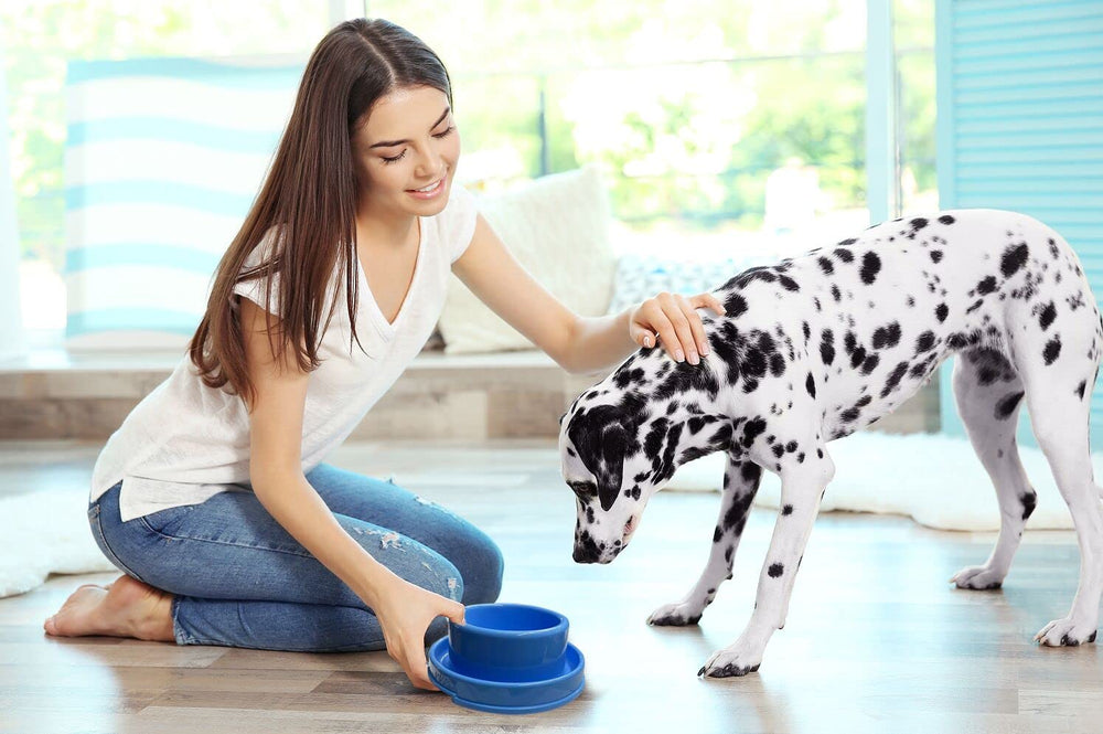 PetLike Ants Away: juego de dos cuencos para comida y agua, ideal para mascotas.