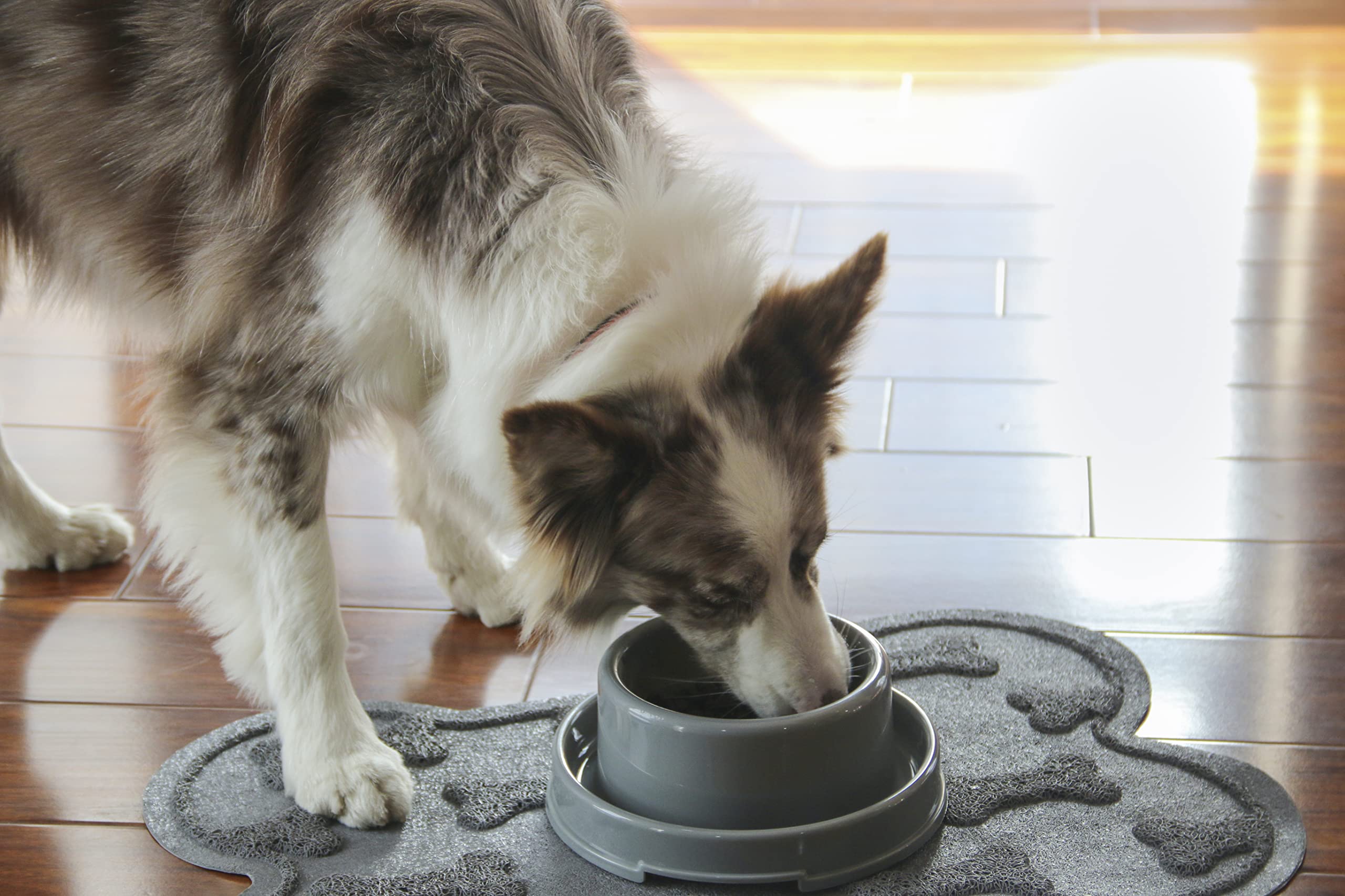 PetLike dual-food water bowls 24oz capacity ideal for dogs, cats, or small animals.
