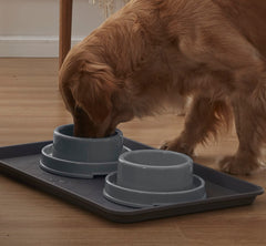 PetLike easy-clean portable bowl has a smooth surface for home or travel.