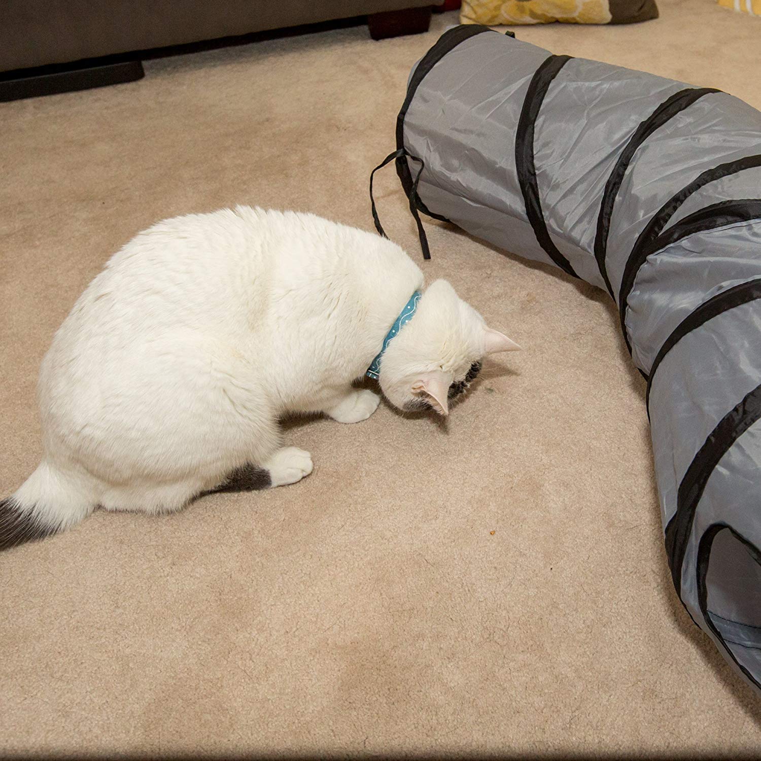 PetLike S Cat Tunnel dimensions 47.2 by 10 inches suit most cats.