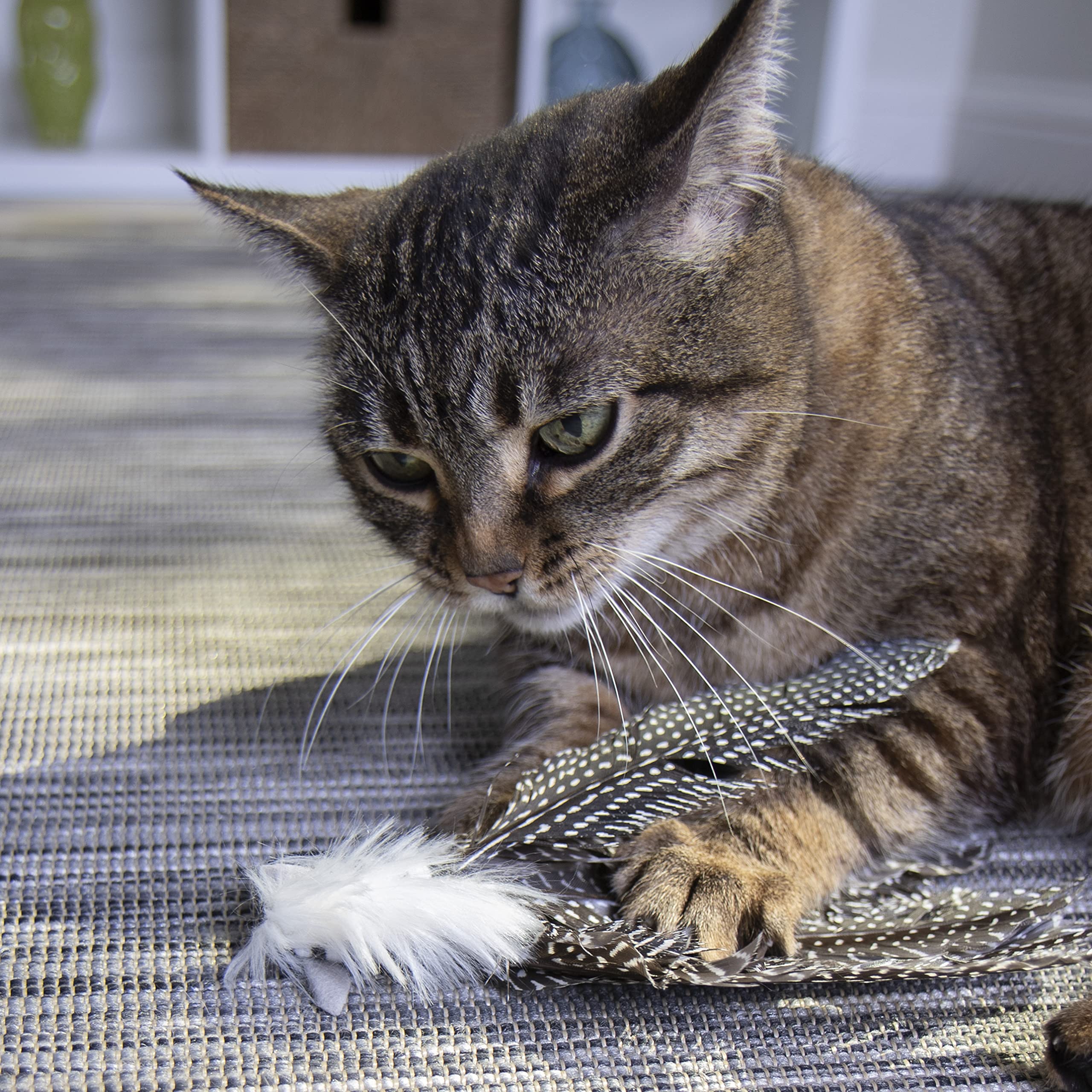 Petlinks HappyNip Zippy Zebra helps support safe, energy-burning playtime.