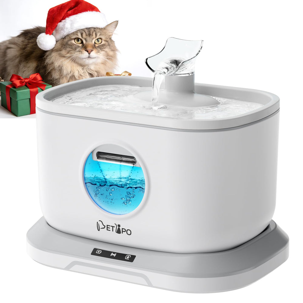 Petlipo cat fountain cordless docking highlights safer hydration for curious cats
