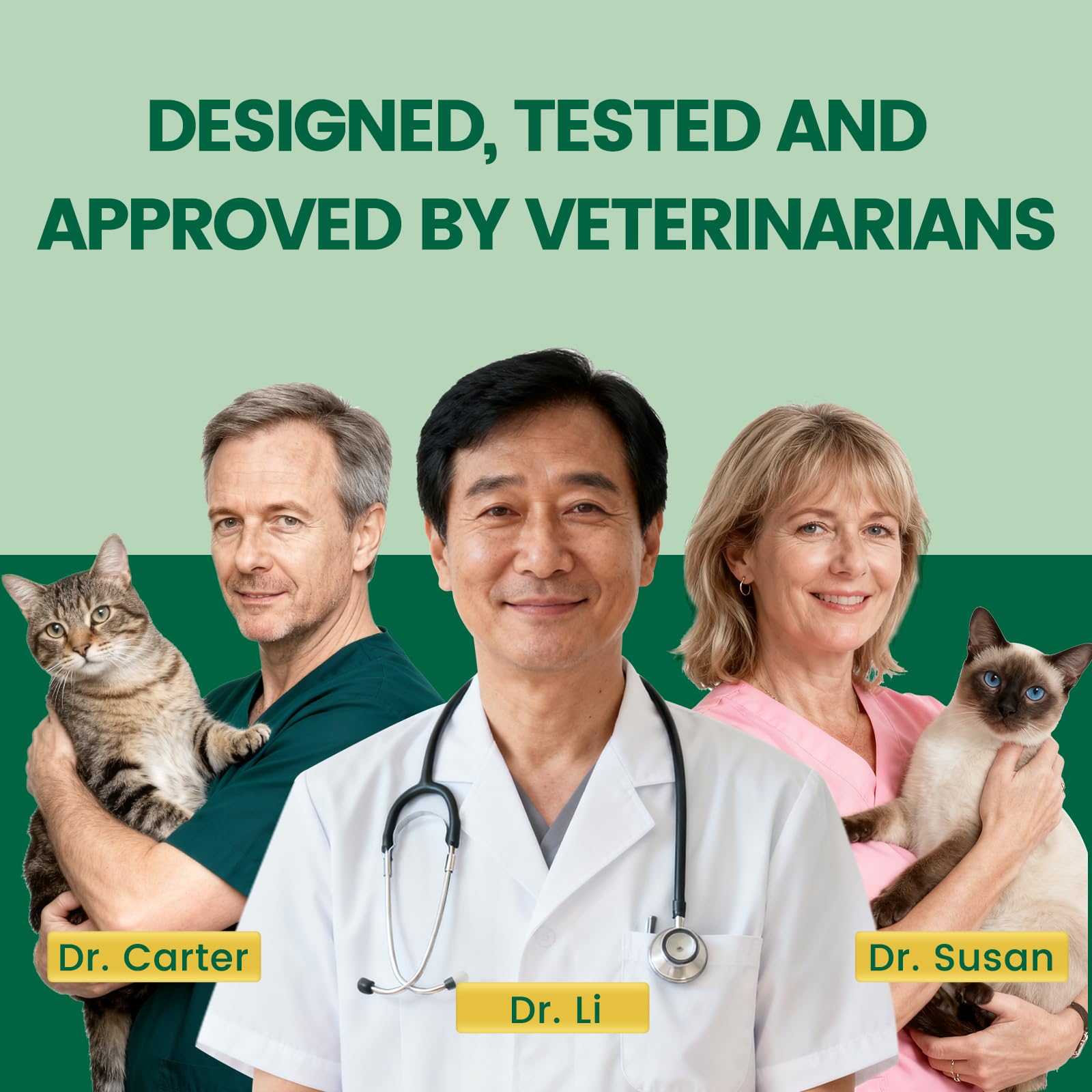 Petlipo easy maintenance keeps your cat's water fresh and inviting