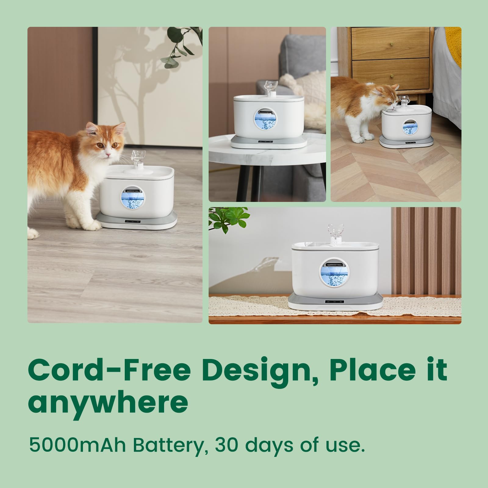 Petlipo ultra-quiet pump operates around 20 dB for peaceful homes