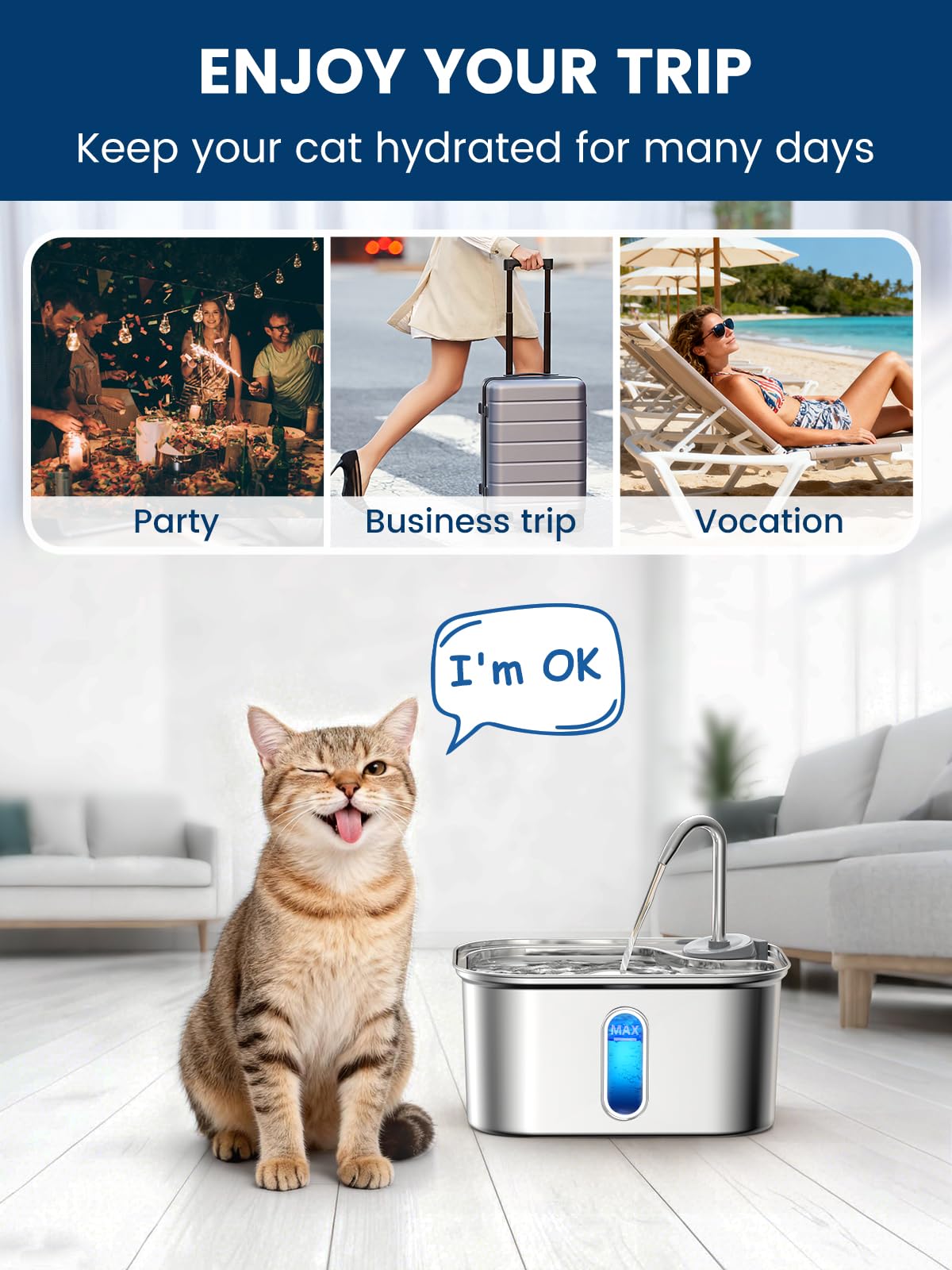Petlipo modern design; gift-worthy for pet lovers and multi-pet homes.