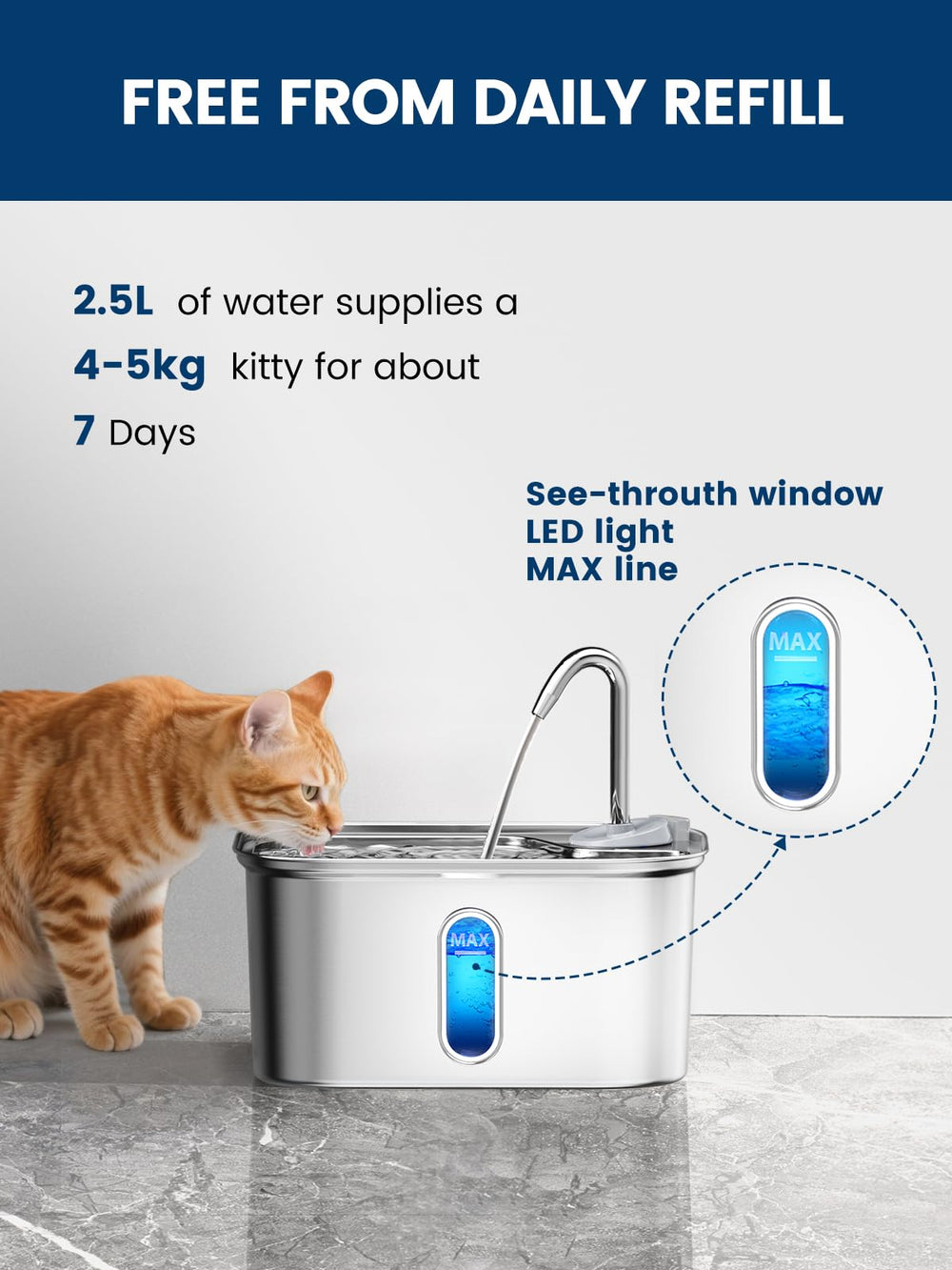 Petlipo soft-flow spout; smooth drinking for cats.