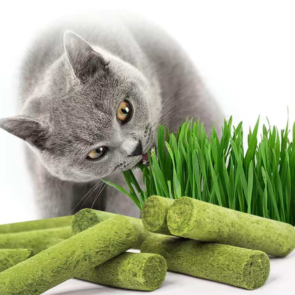 Petllgood cat grass sticks packaging shows convenient snack option for busy owners.