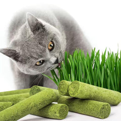 Petllgood cat grass sticks packaging shows convenient snack option for busy owners.