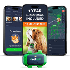 PETLOC8 dog GPS dashboard app shows real-time location and alerts for quick peace of mind.