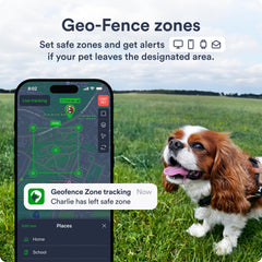 PETLOC8 dog GPS tracker IP67 waterproof for rain or shine adventures
