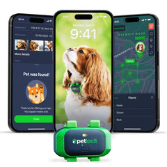 PETLOC8 dog GPS tracker real-time location helps you locate your dog quickly during outdoor adventures