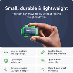 PetLoc8 geofence setup illustrates safe zones and instant alerts.