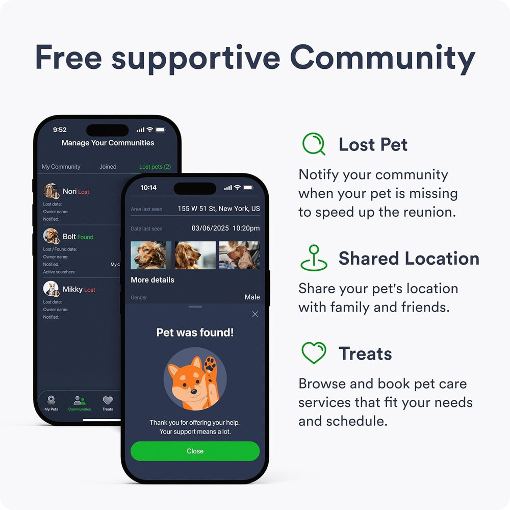 PetLoc8 location history graph showing where your dog has been.