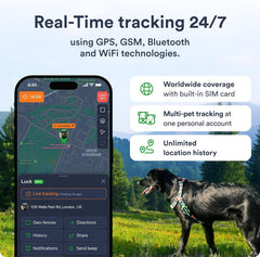 PetLoc8 tracker in app view demonstrates live tracking and location history access.