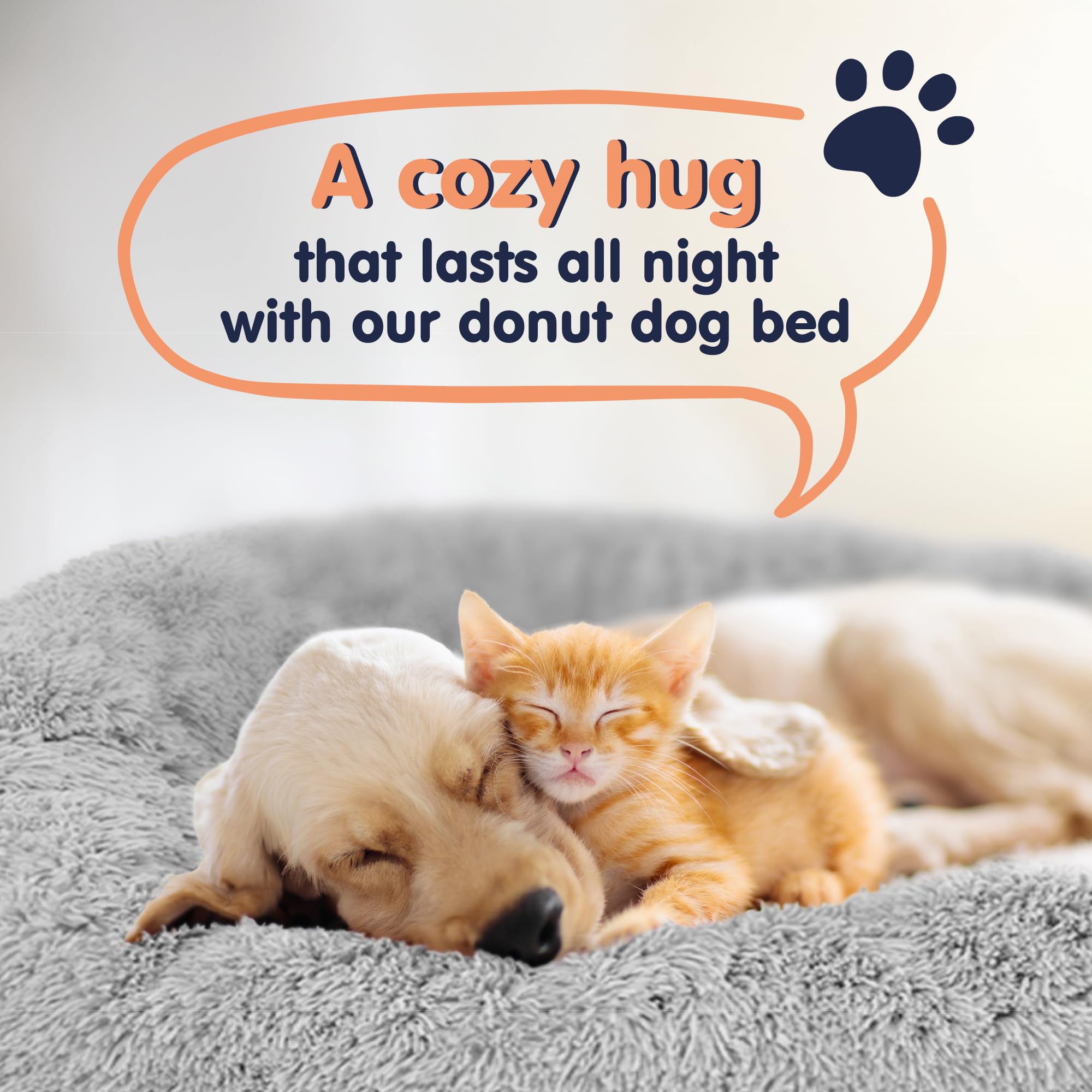 Petloox donut bed circular shape supports cats and dogs for cozy naps.
