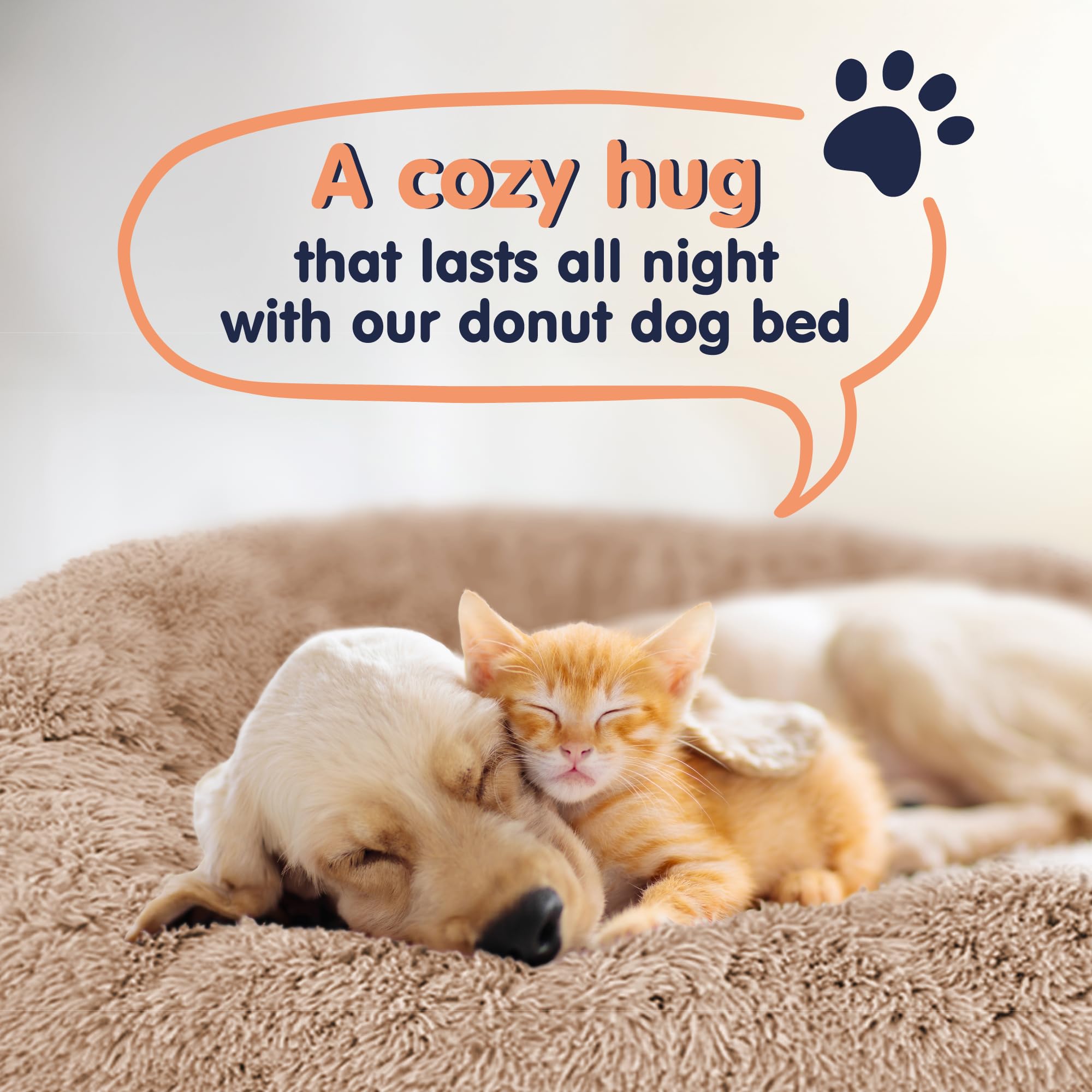 Petloox Donut Bed Gift Packaging — a thoughtful present for pets and their people.