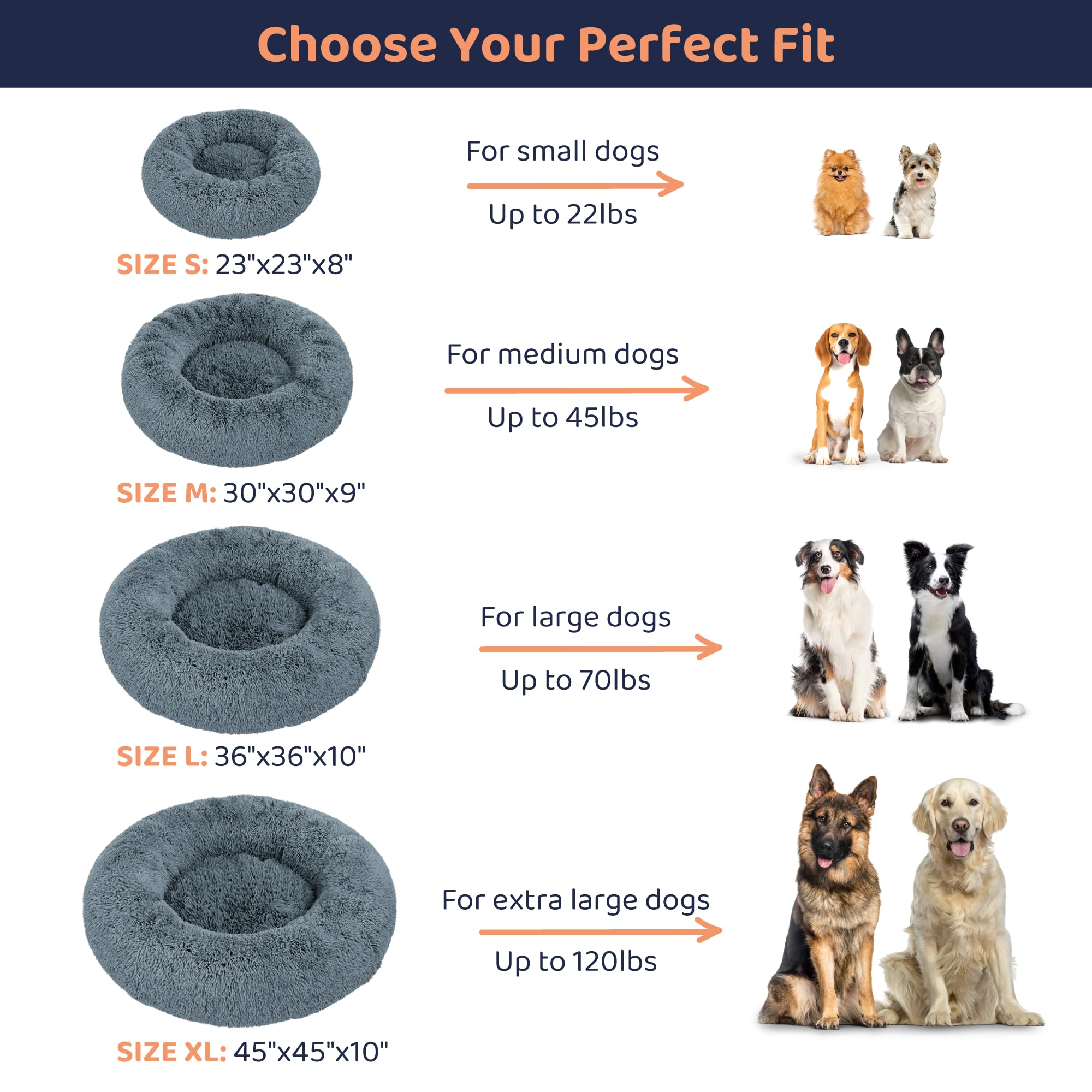 Petloox Donut Bed small size setup fits compact rooms for tiny dogs.
