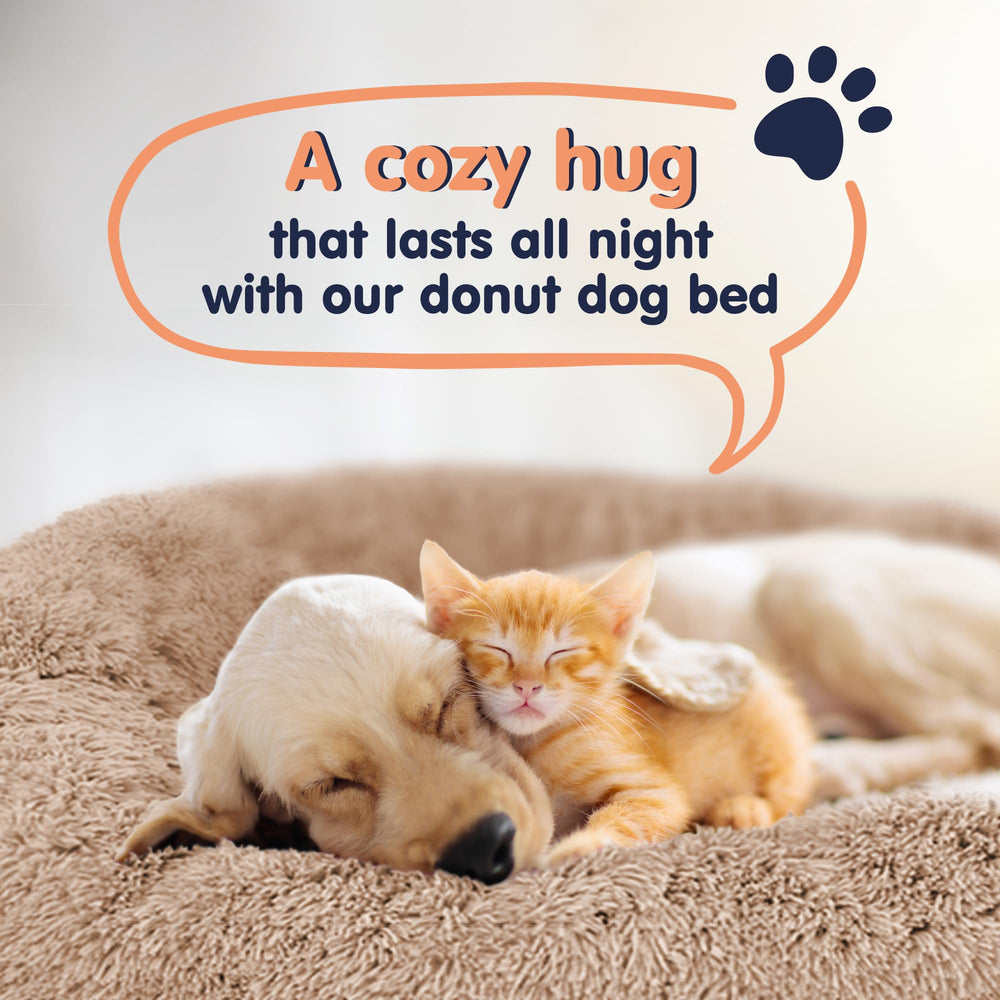 Petloox Donut Bed Versatile Home Decor complements living spaces.