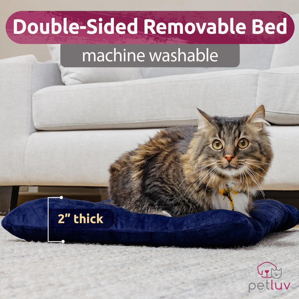 PetLuv carrier with locking zippers keeps contents secure during journeys.