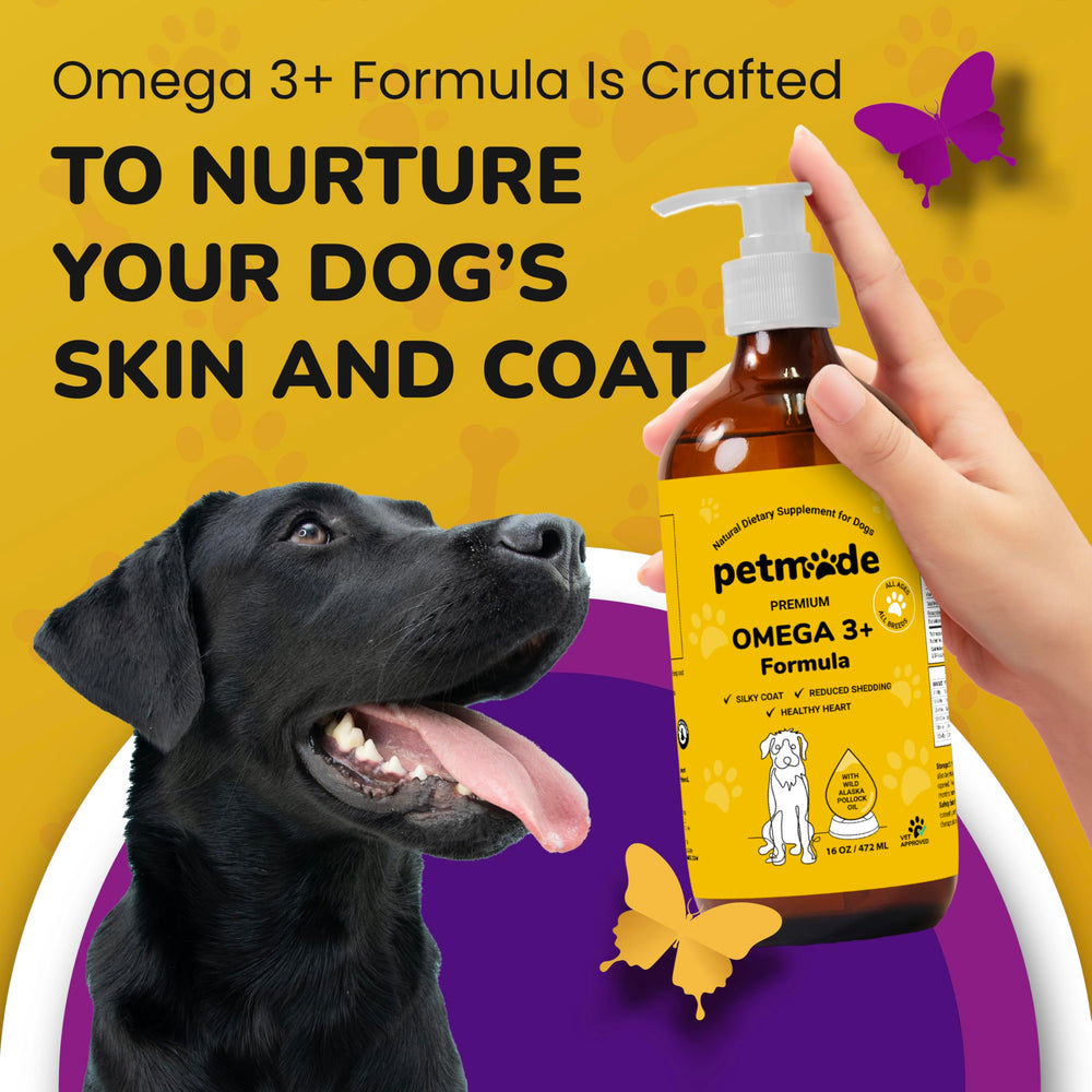 PetMade Omega-3 for Dogs coat-gloss close-up hints at shinier fur.