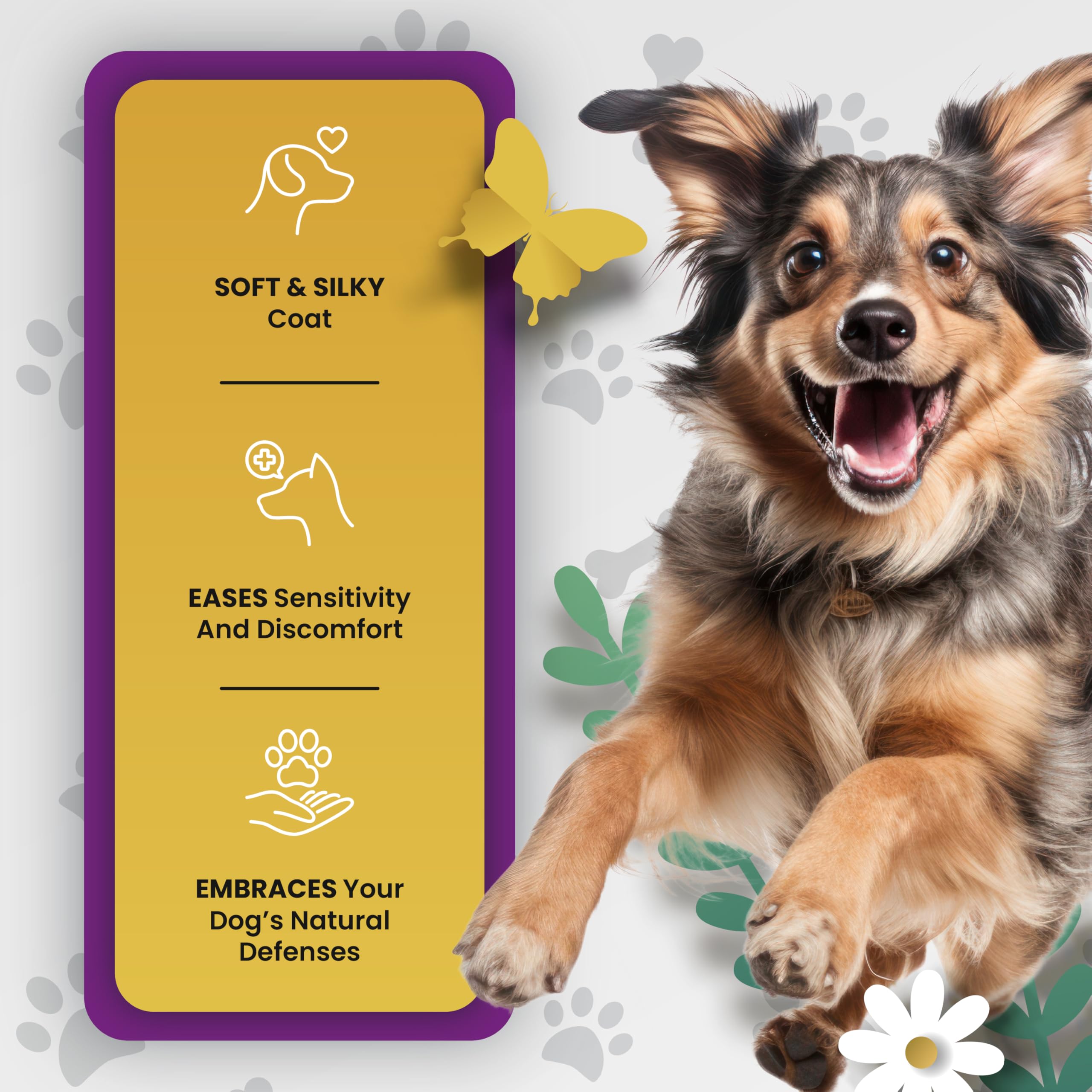 PetMade Omega-3 dog-meal-mixing scene shows seamless addition to daily meals.
