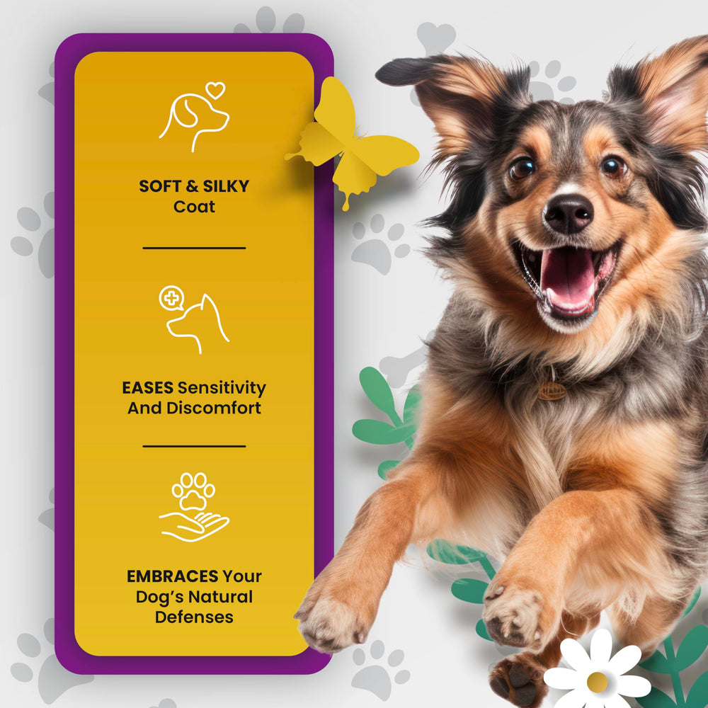 PetMade Omega-3 dog-meal-mixing scene shows seamless addition to daily meals.