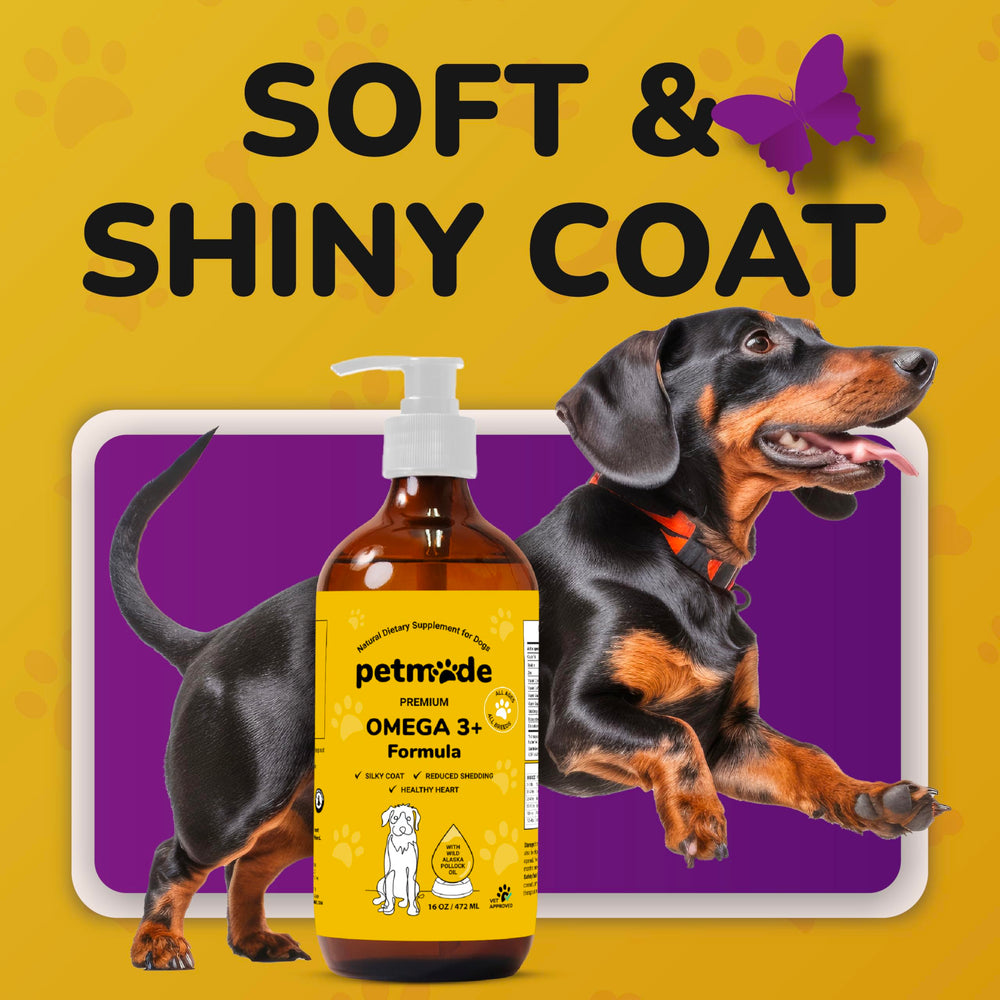 PetMade Omega-3 for Dogs skin-health close-up suggests improved skin condition.