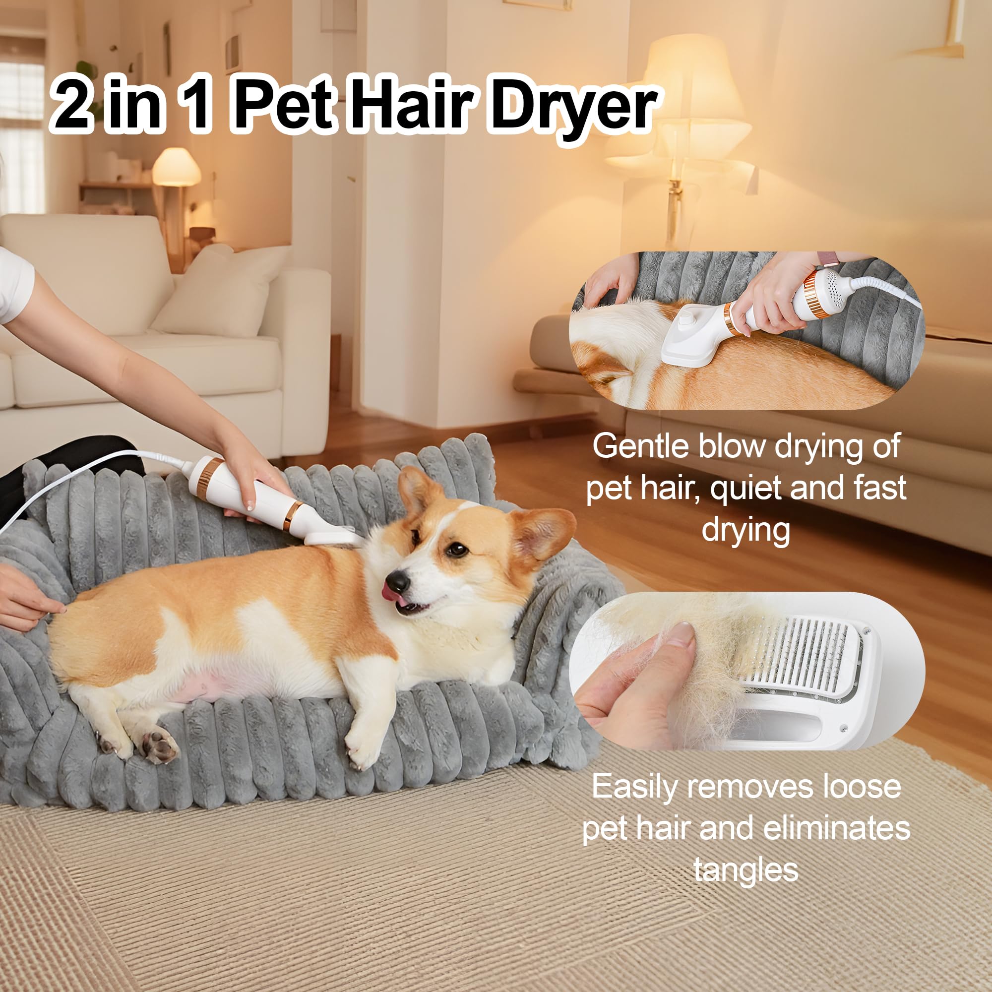 Petmarket 3-speed control dog dryer for versatile grooming
