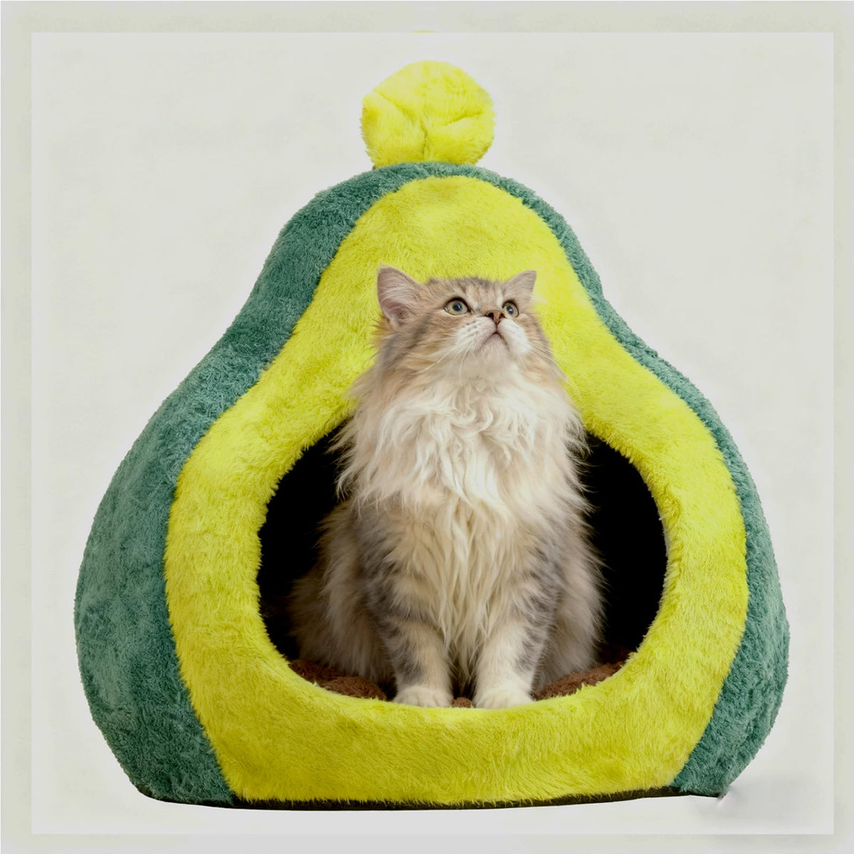 Petmarket Avocado Cat Bed inside cave offers cozy privacy and restful sleep