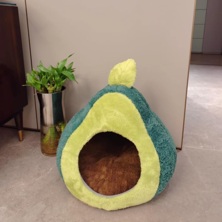 Petmarket Avocado Cat Bed perfect for use in living rooms or crates