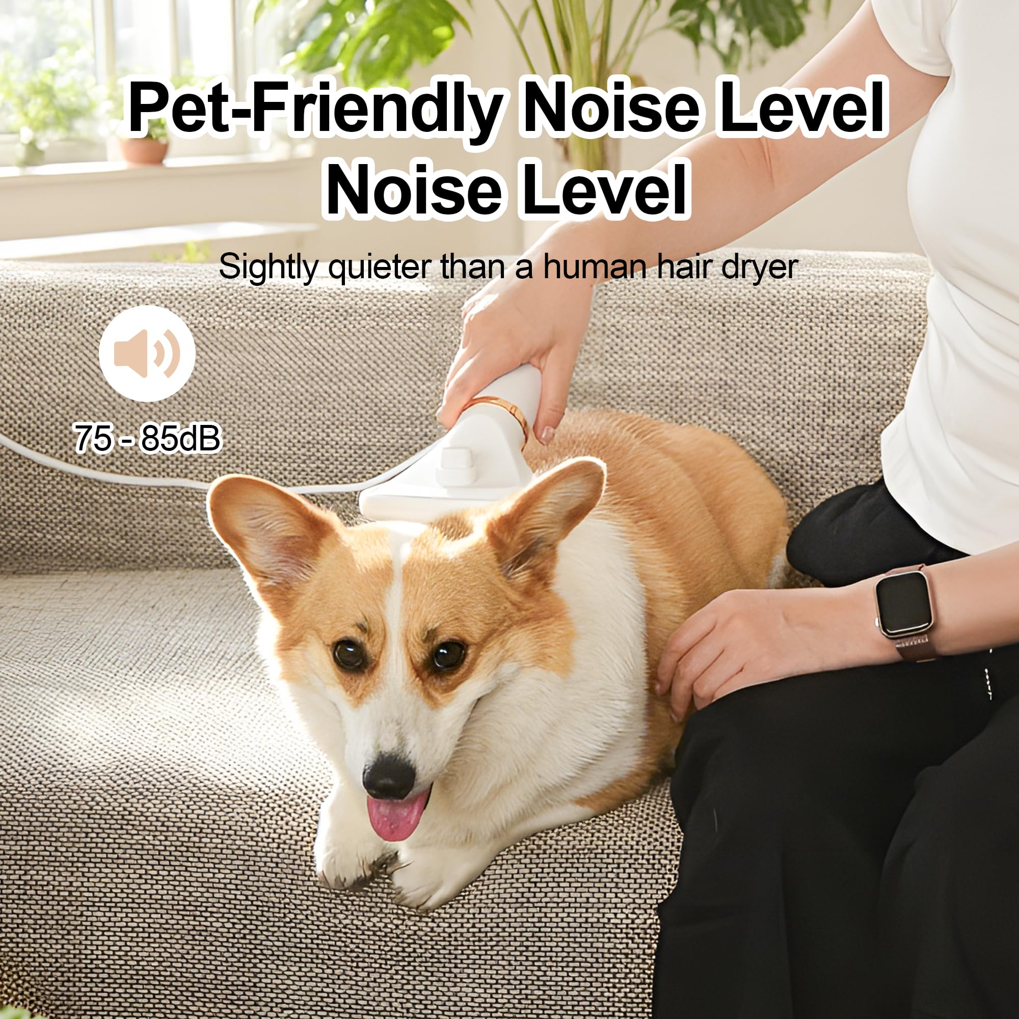 Petmarket grooming case keeps dryer organized on the go