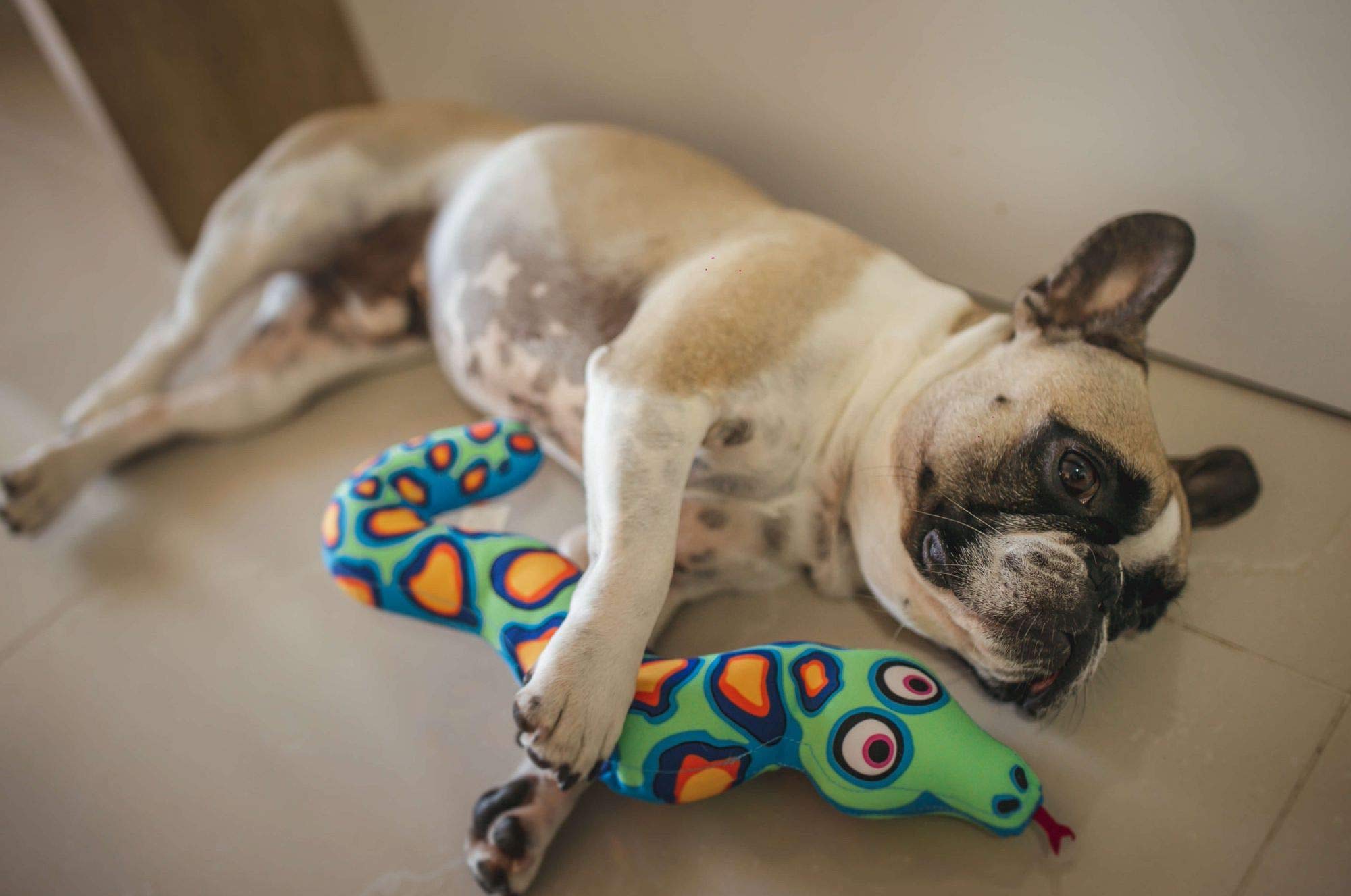 Petmate Fat Cat yankers closeup shows a durable texture for interactive games.