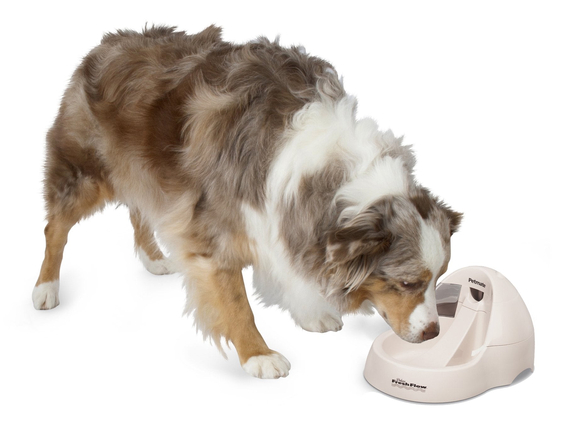 Petmate Fresh Flow Deluxe pump with AC adapter and cord enables fast, ready-to-use setup.