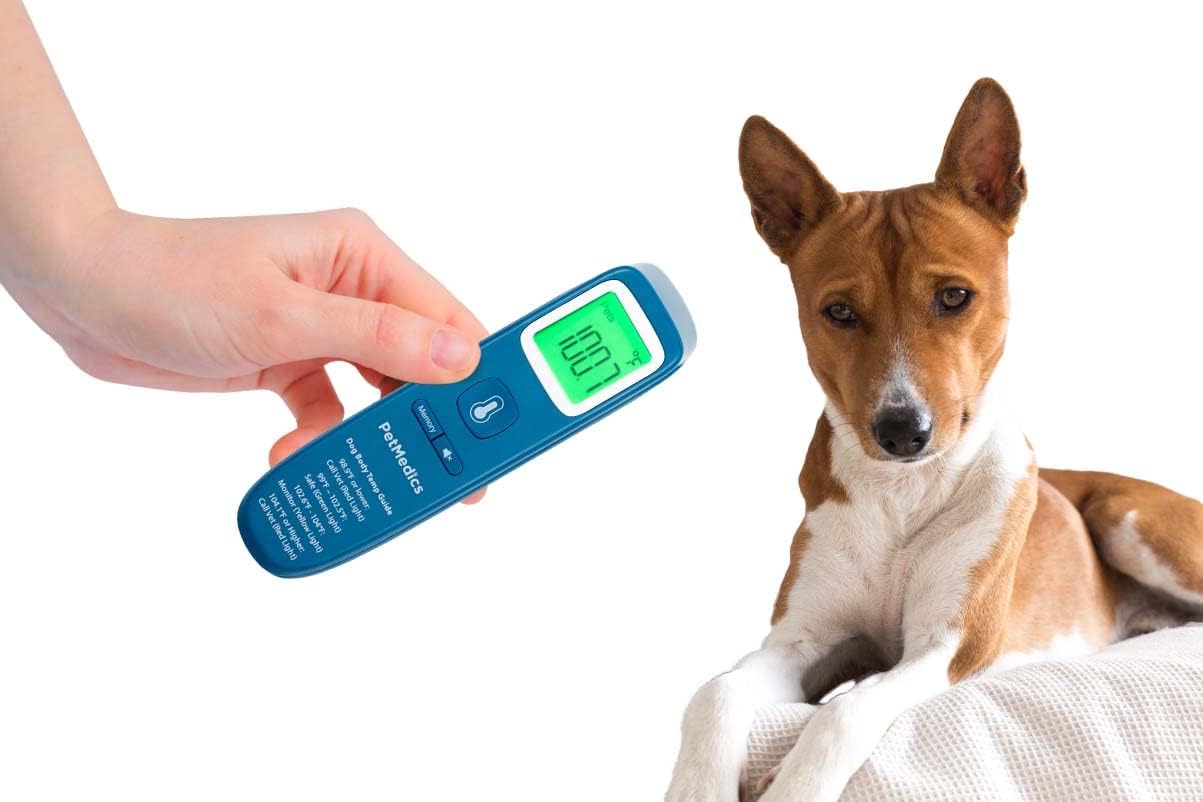 PetMedics non-contact thermometer focused on dog's belly for quick, hygienic temp check.