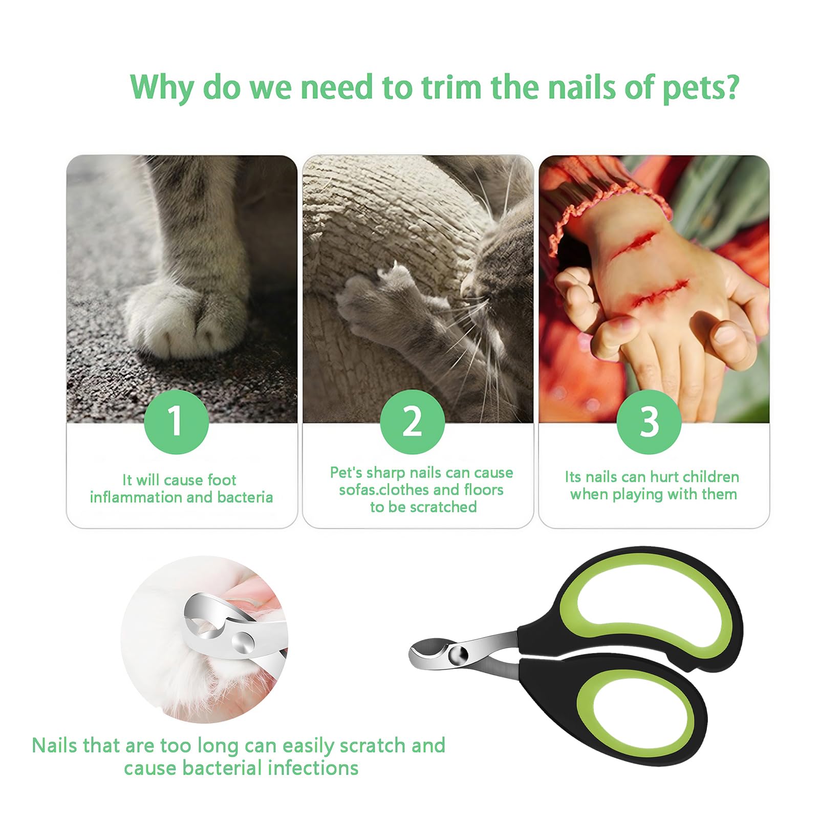 PETMGCOO at-home-grooming-session supports convenient pet care